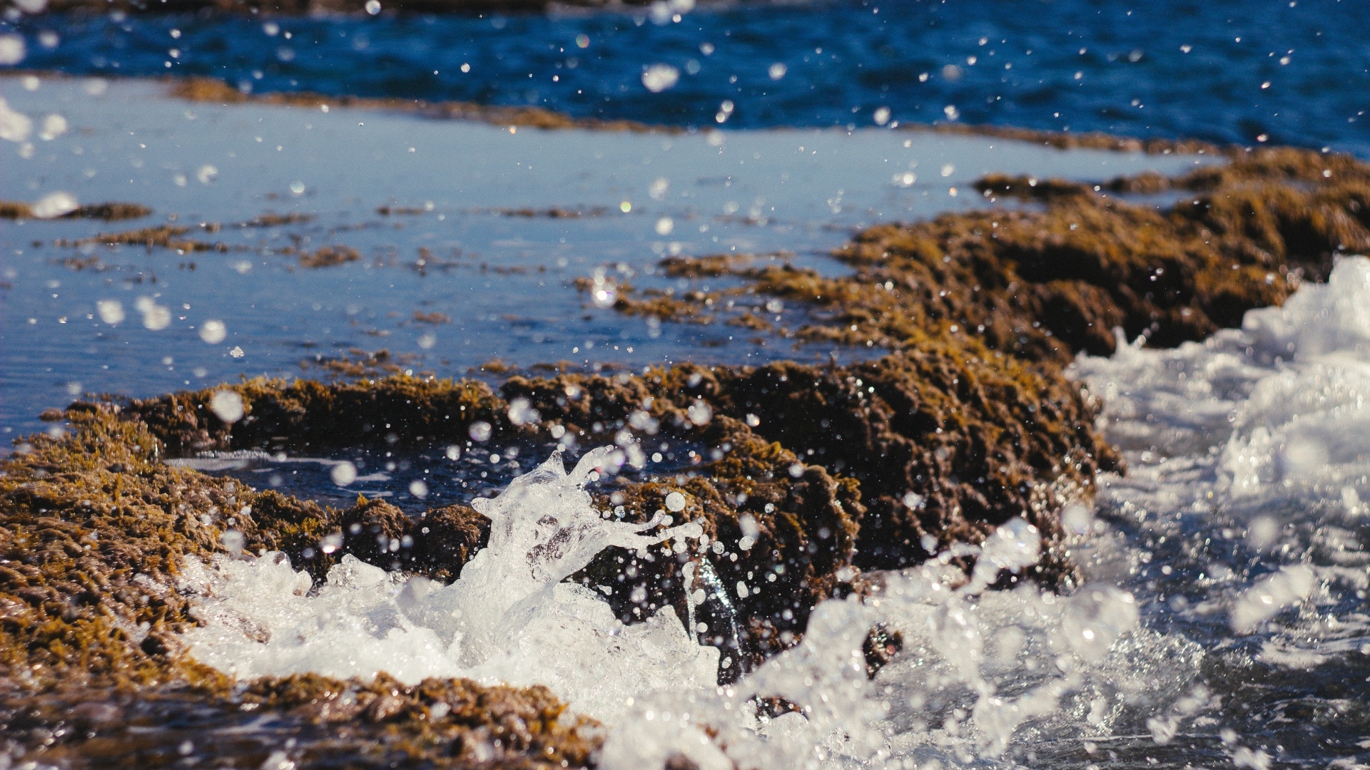 Брызги холодной морской воды на берегу