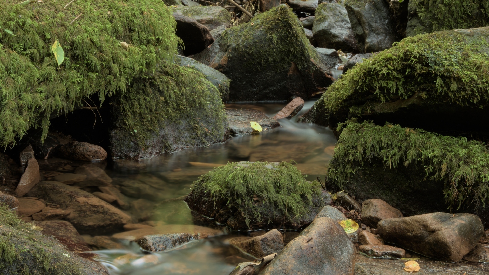 Лесной водопад стекает по холодным камням осенью