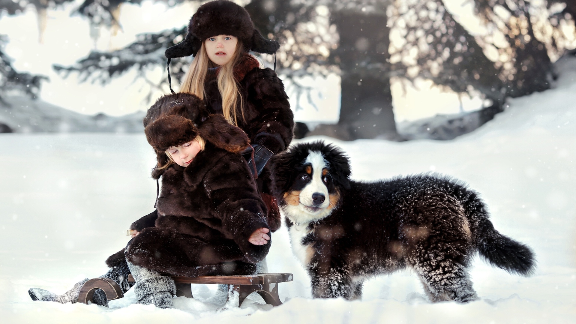 Дети на санках со щенком зимой