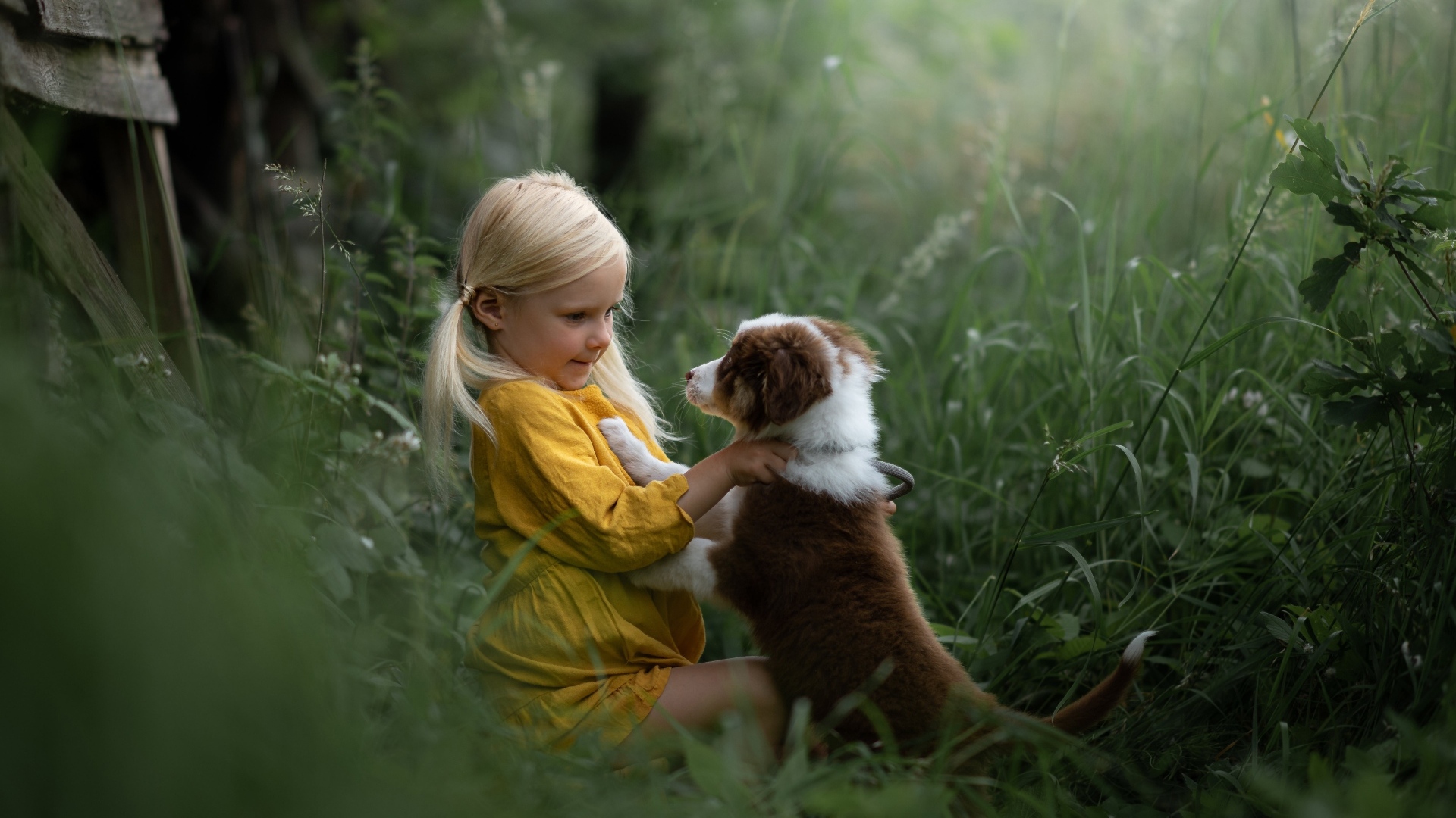 Маленькая девочка дружит со щенком
