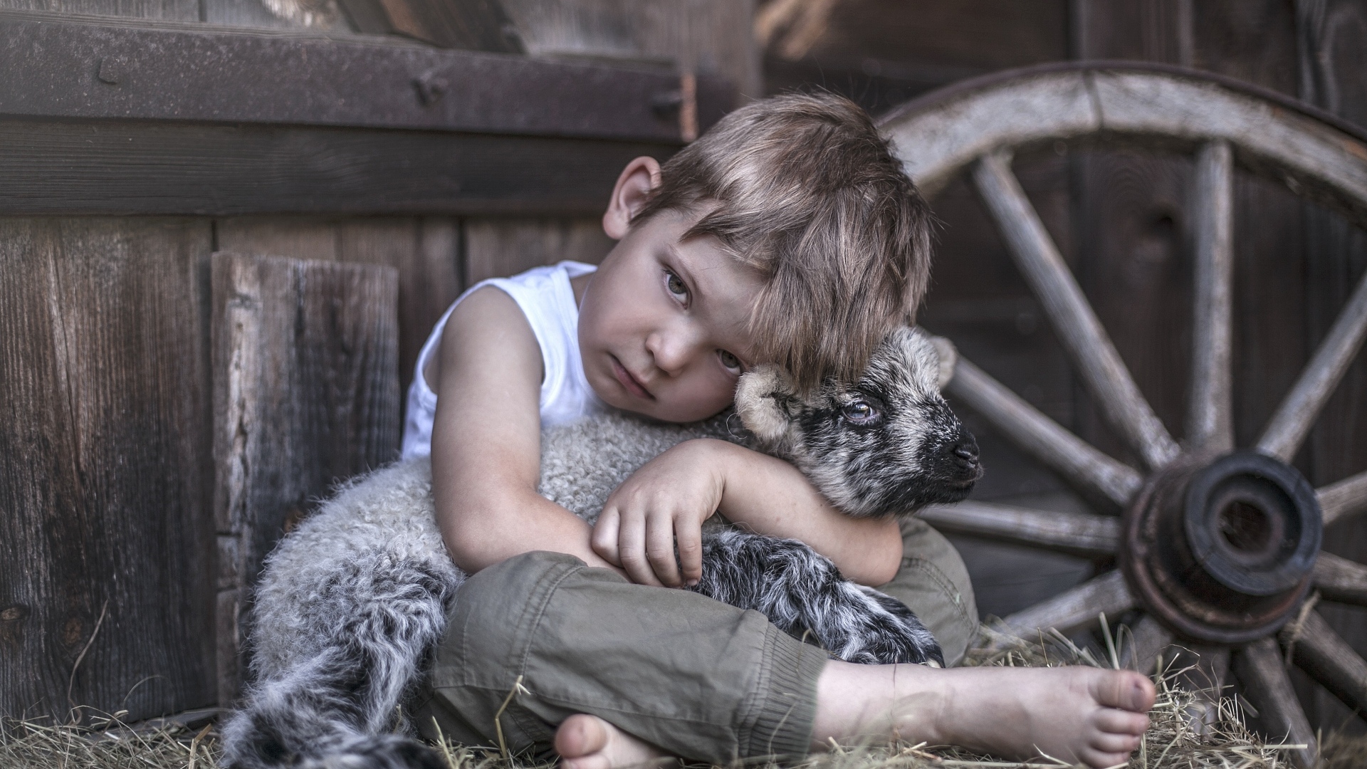 Маленький грустный мальчик обнимает ягненка