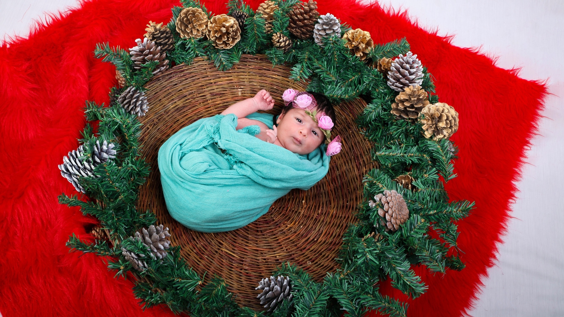 Новорожденная девочка в корзине с еловыми ветками