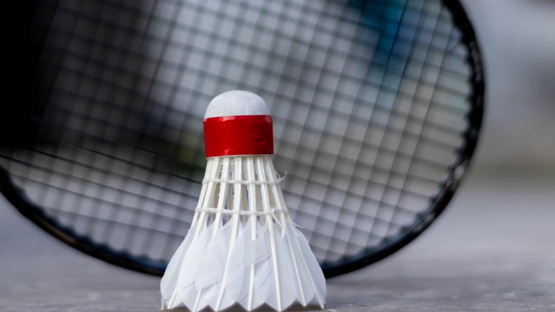 Белый воланчик и ракетка для игры в бадминтон