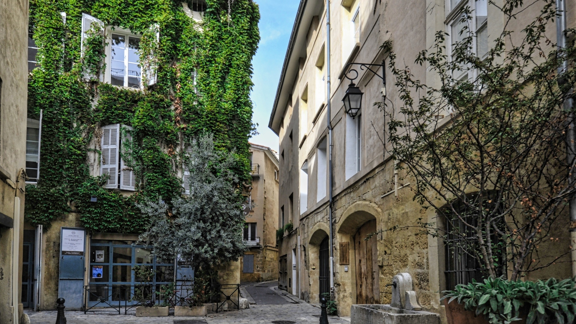 Покрытые зеленой растительностью дома на улице города