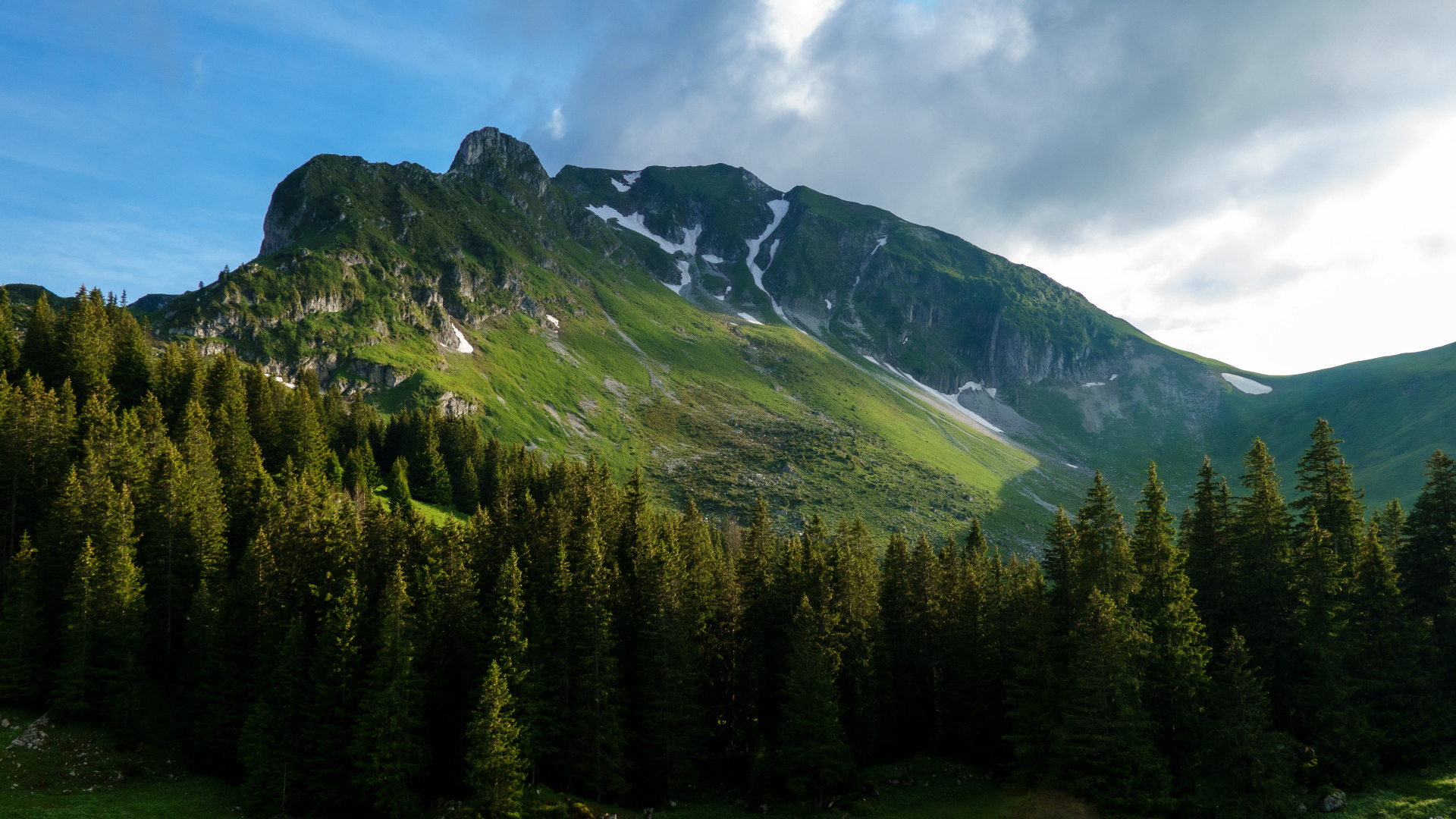Вид на покрытые растительностью Альпы, Швейцария