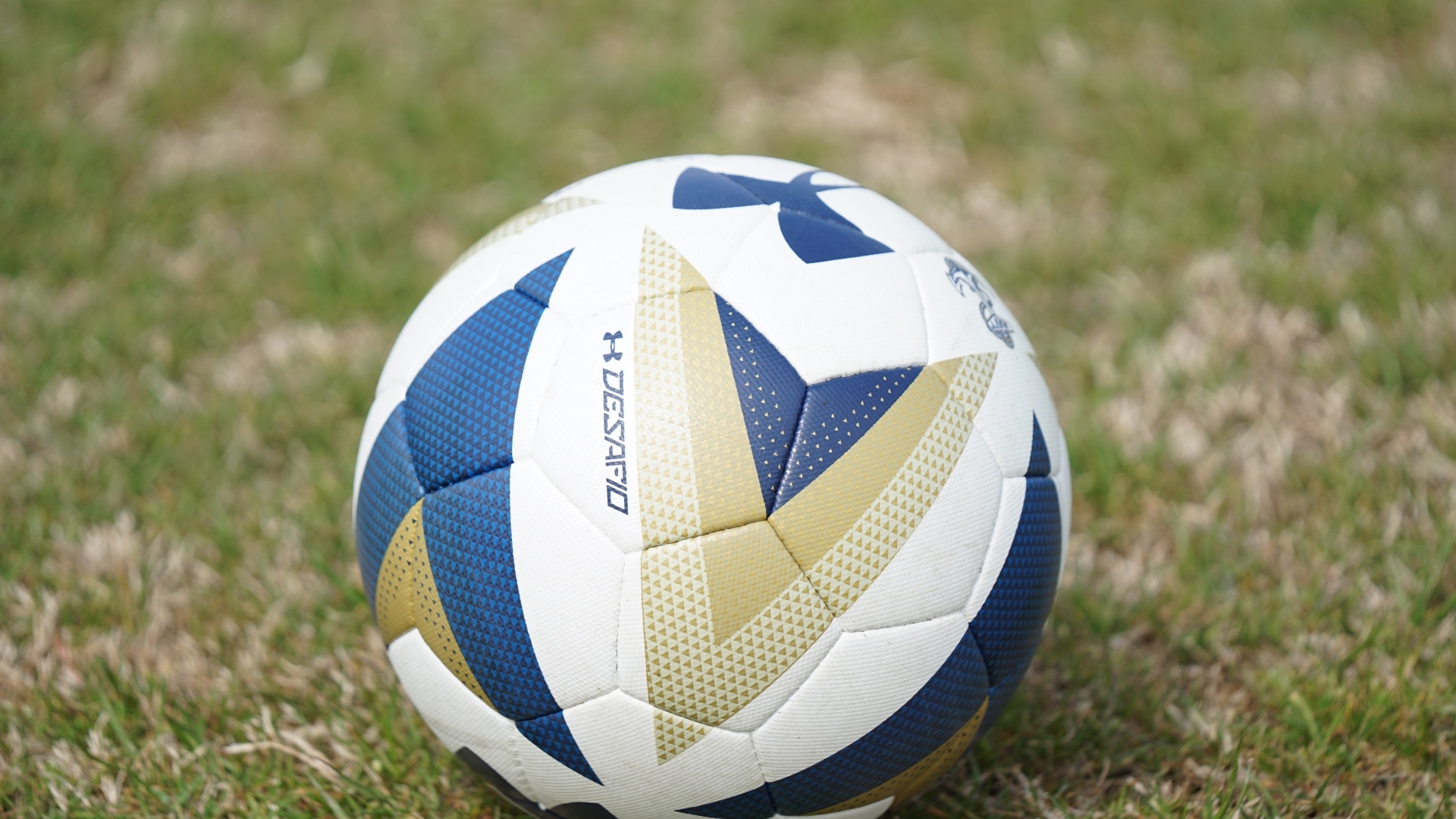 Большой футбольный мяч на поле