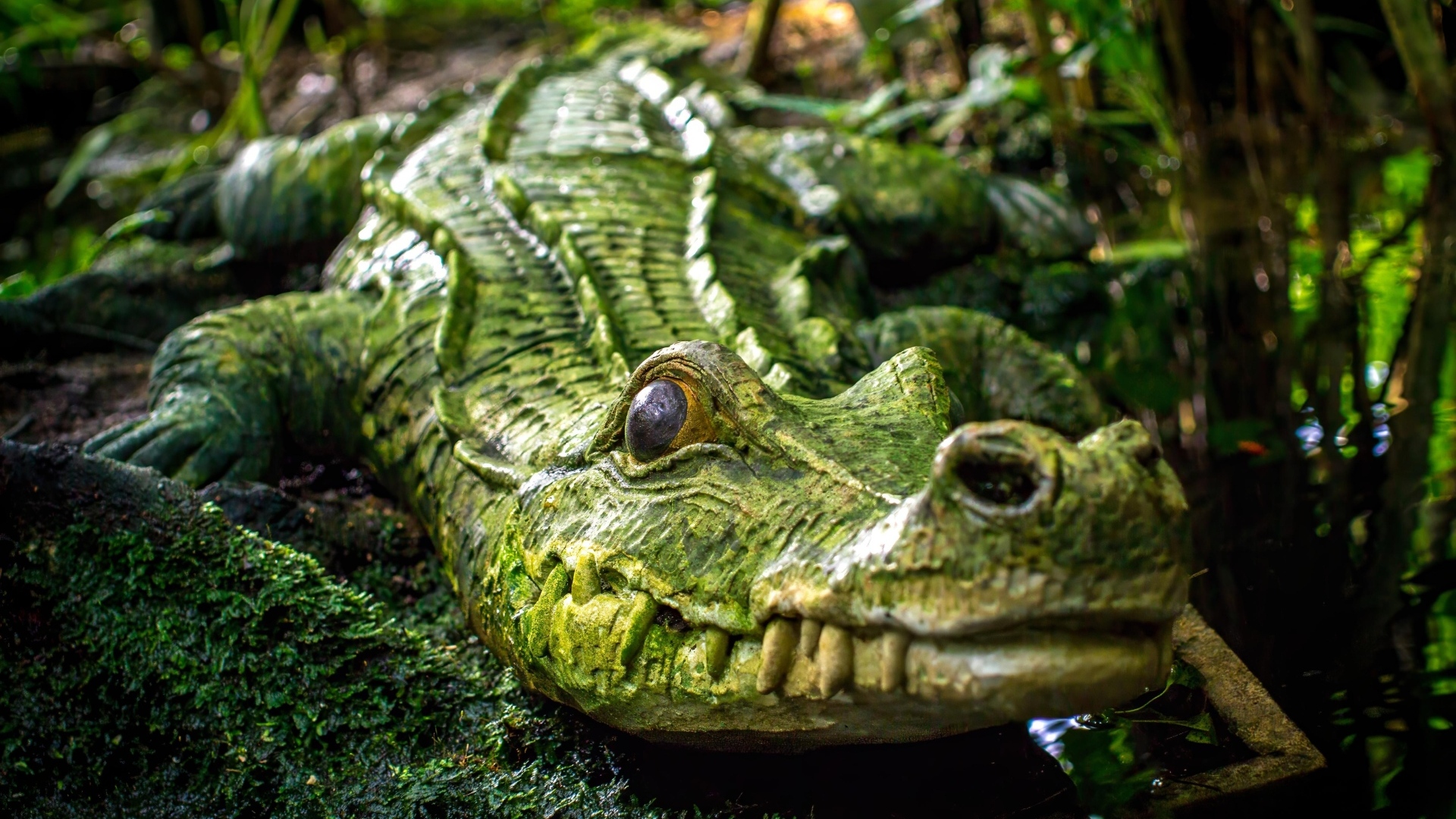 Большой зеленый крокодил у воды