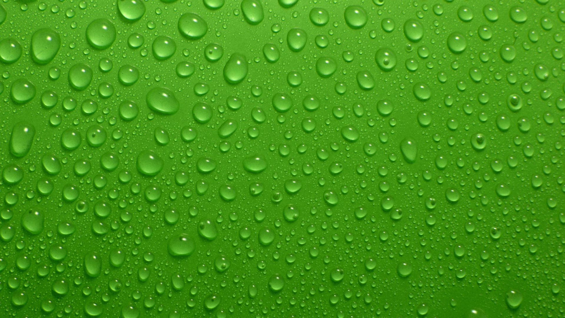 Капли воды на зеленом фоне