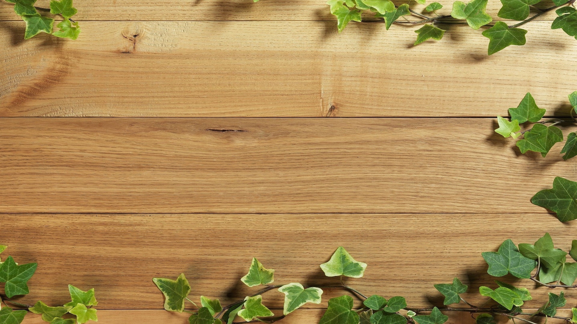 Деревянный фон с листьями плюща