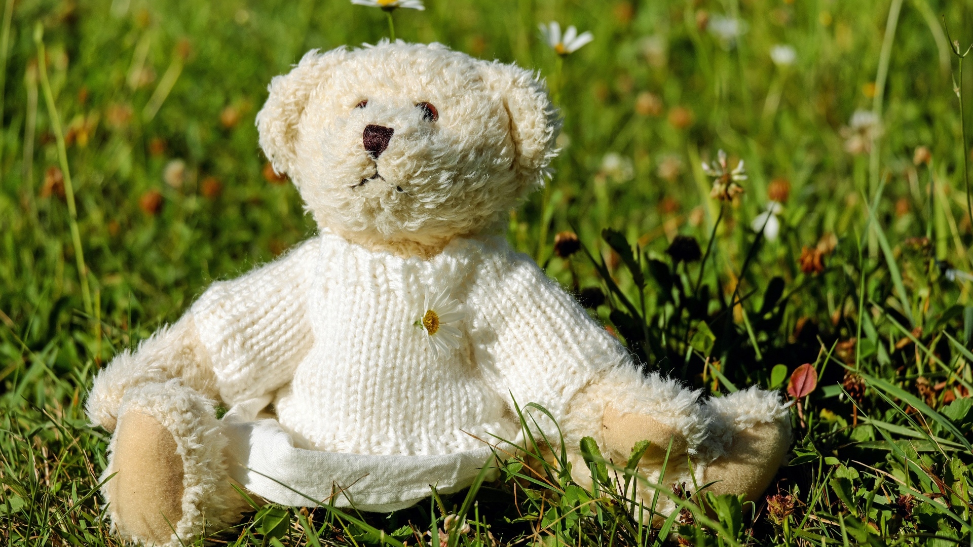 Игрушечный медвежонок в свитере сидит на траве