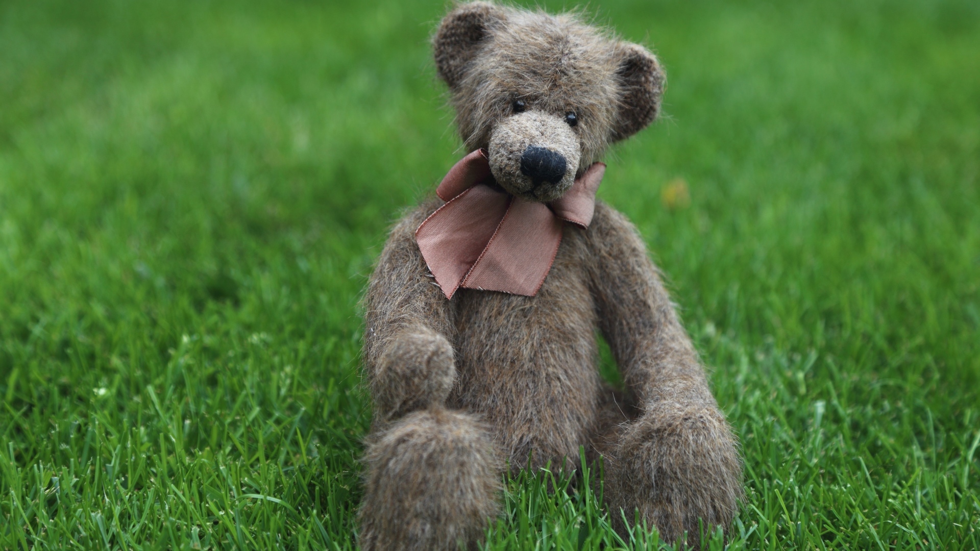 Игрушечный медведь с бантом сидит на зеленой траве