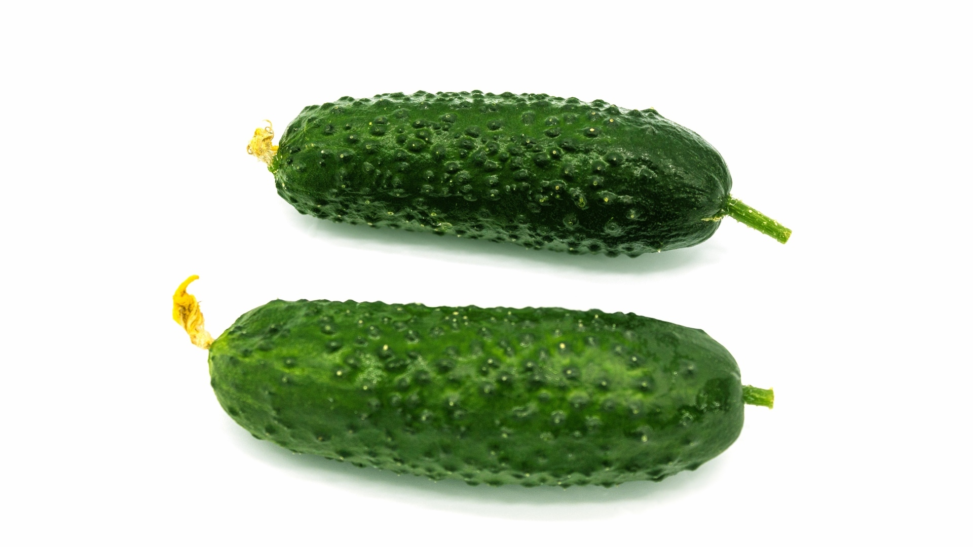 Два зеленых огурца на белом фоне