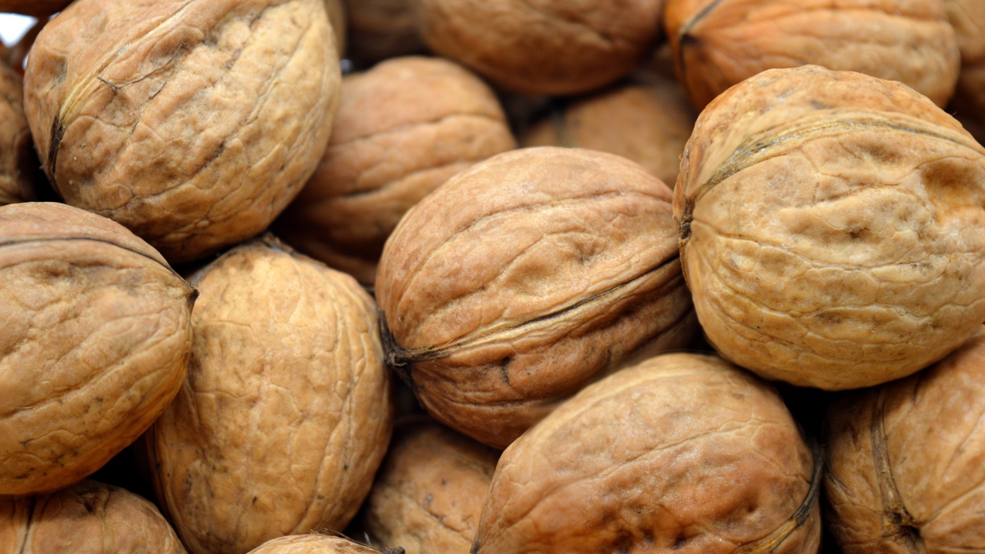Много грецких орехов крупным планом
