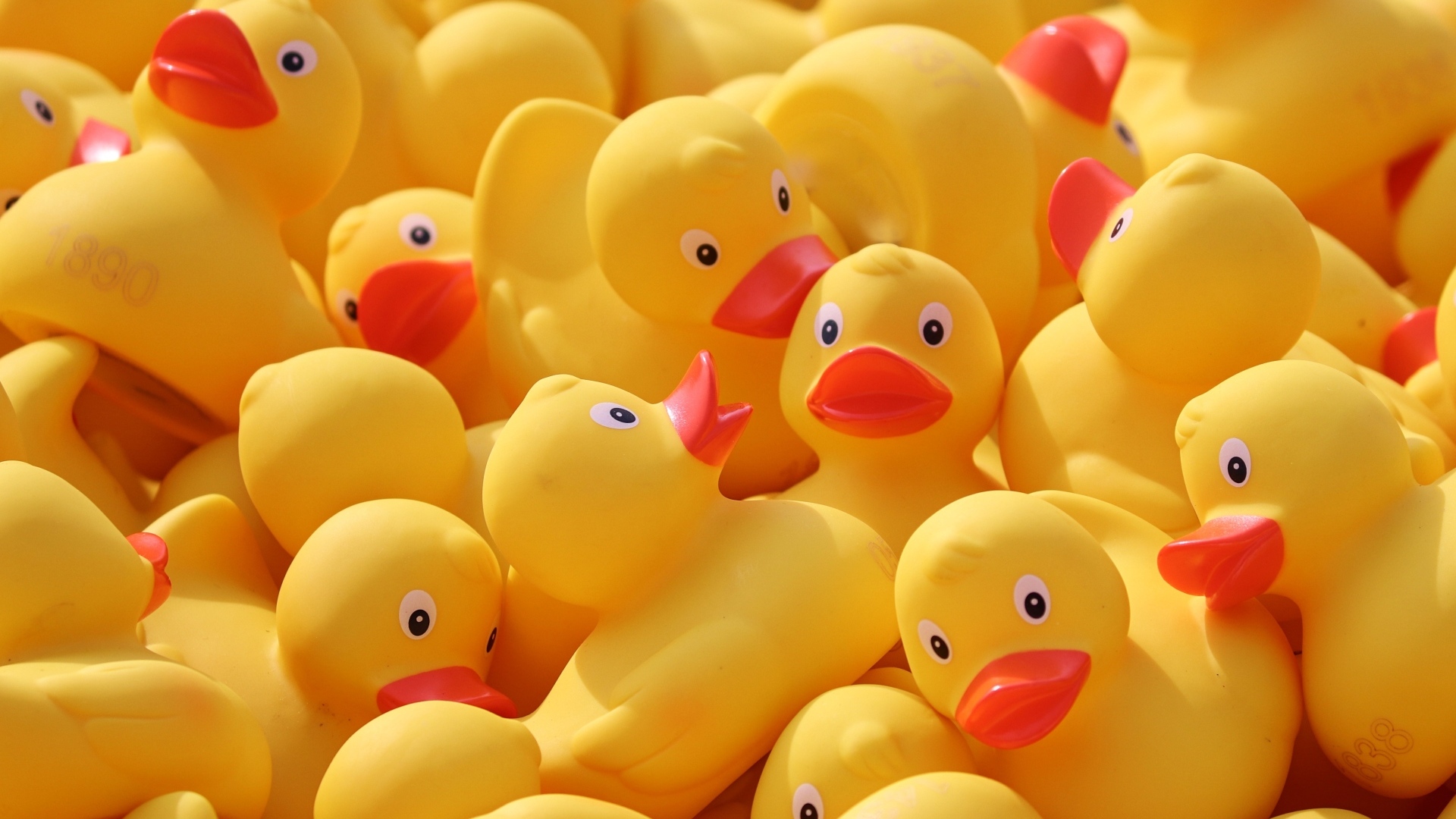 Резиновые желтые уточки 