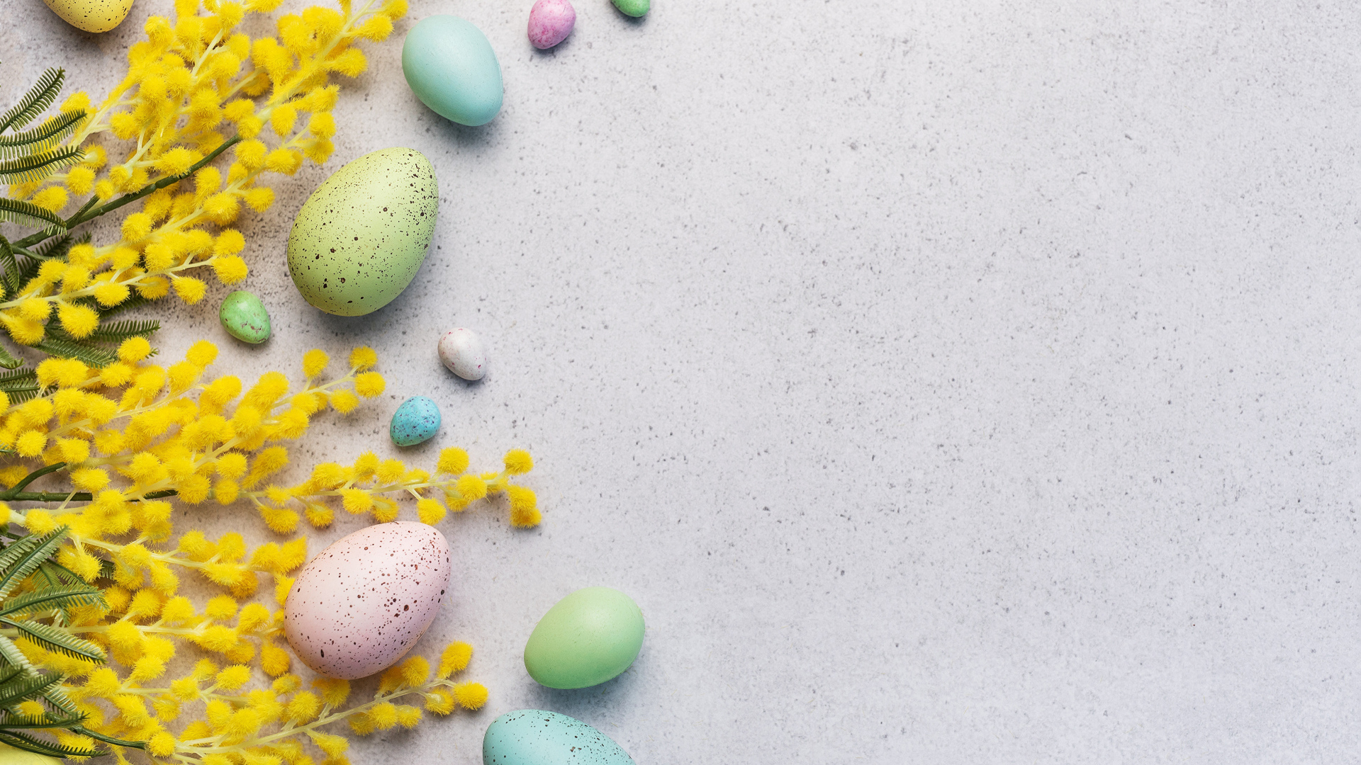 Разноцветные пасхальные яйца с веточками мимозы
