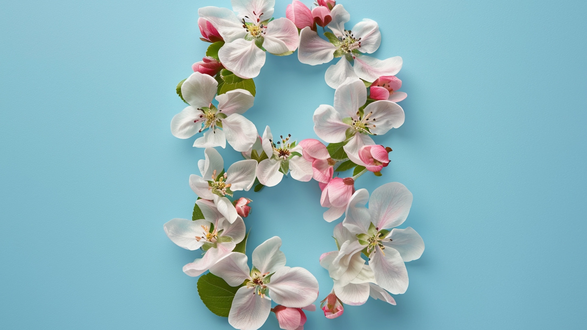 Цифра восемь из цветов яблони на голубом фоне на праздник