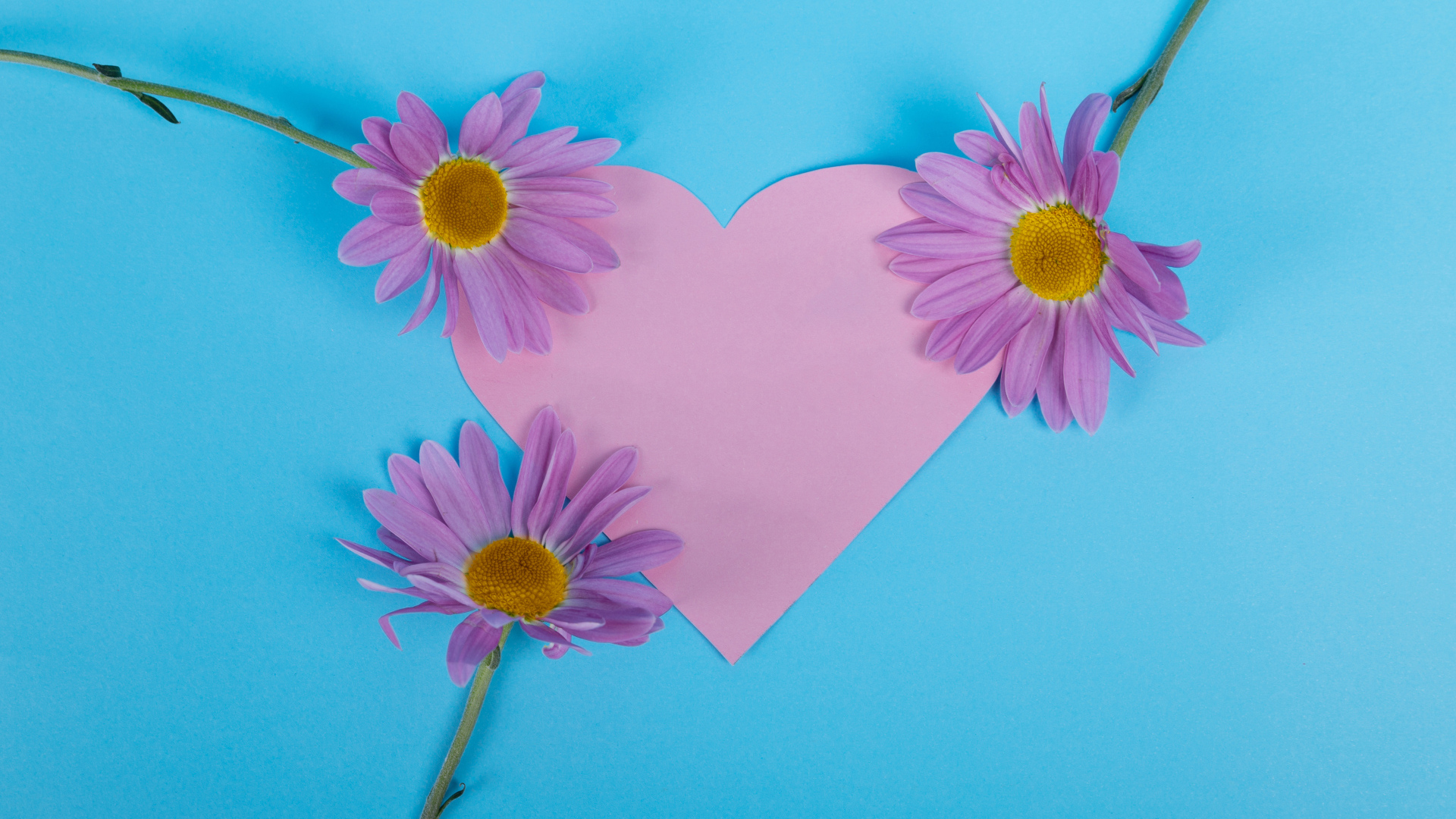 Розовое сердце с цветами на голубом фоне
