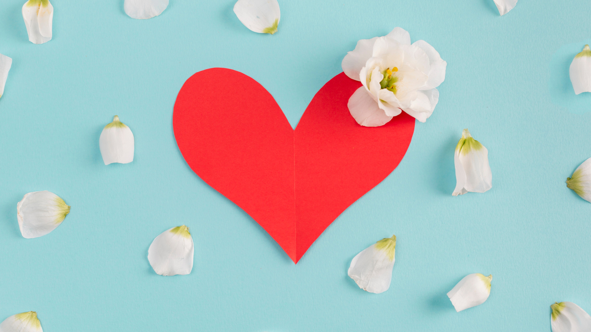 Красное сердце с белыми лепестками на голубом фоне