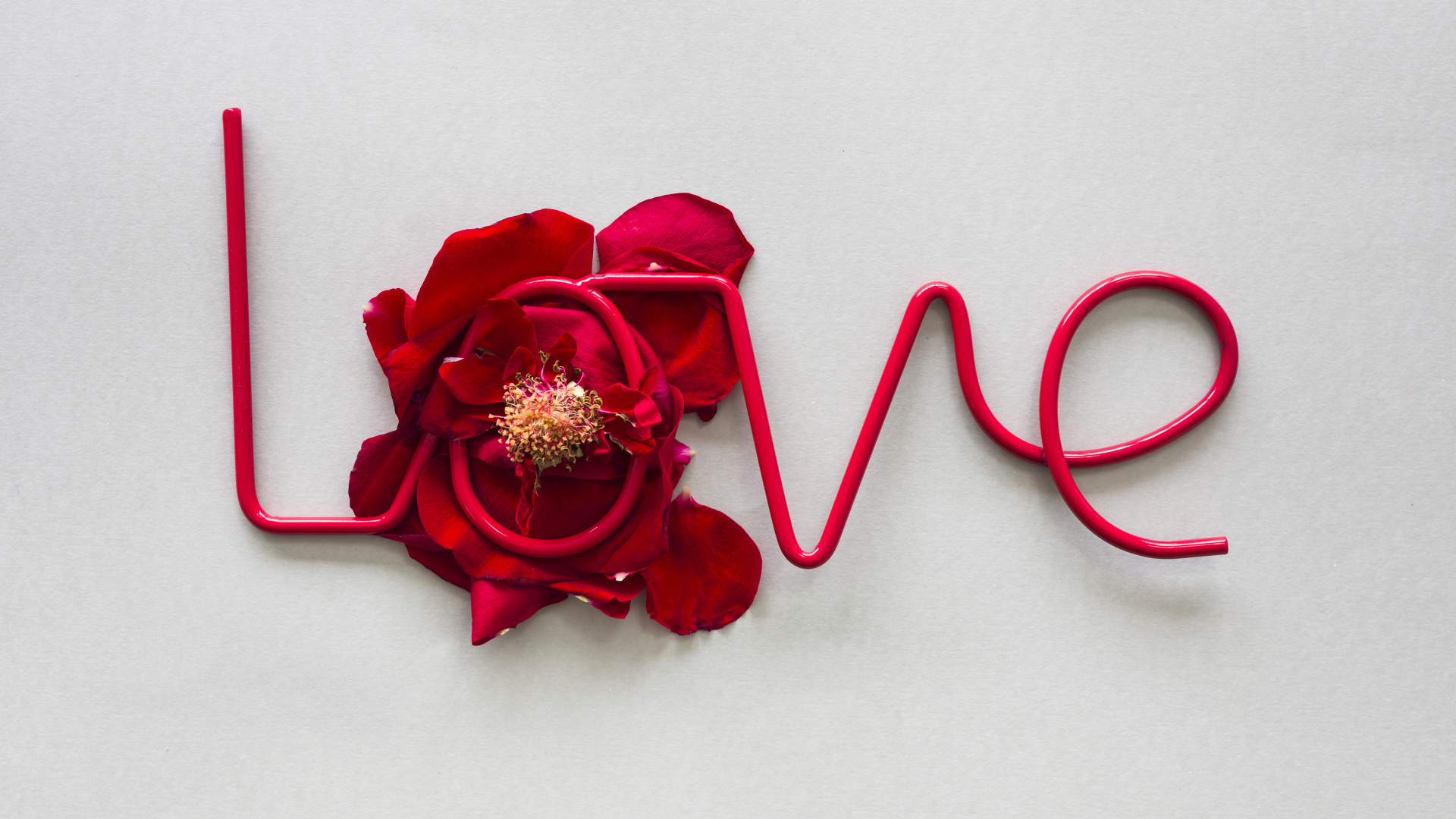 Надпись любовь на сером фоне с цветком 