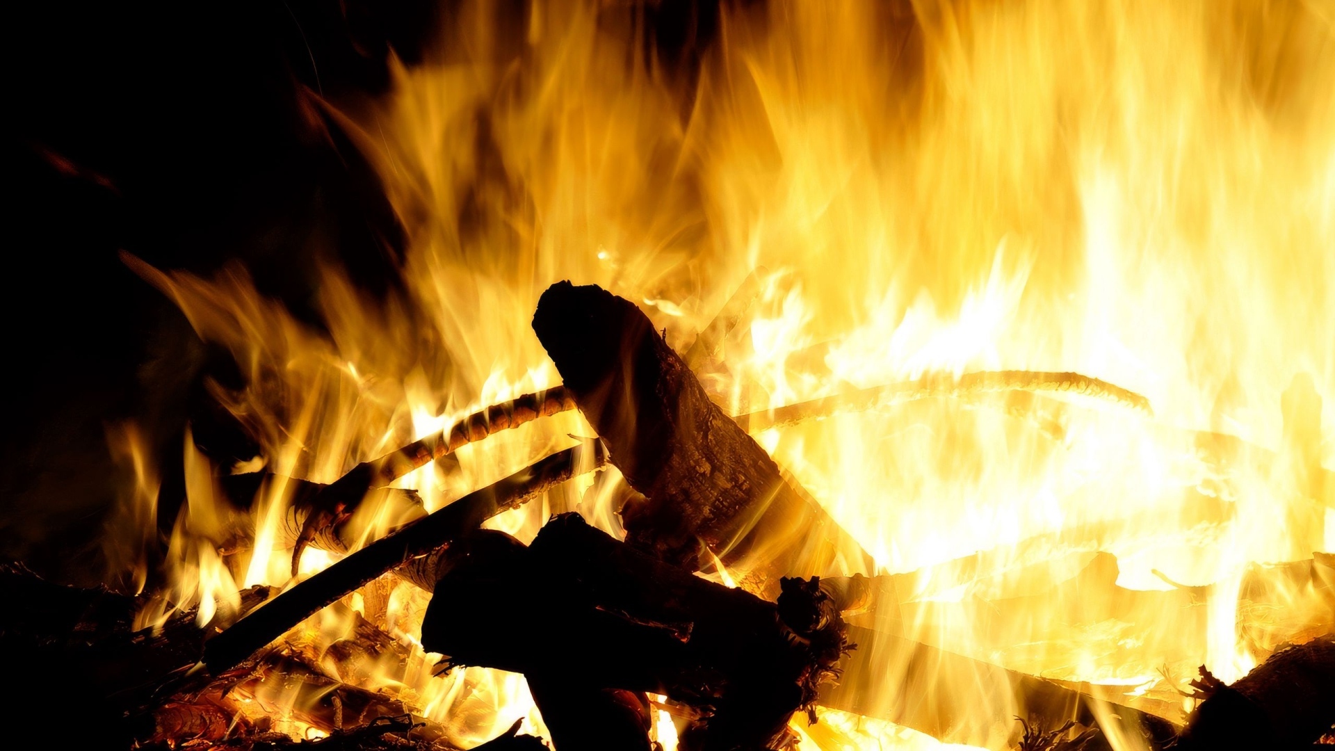 Яркое горячее пламя костра крупным планом