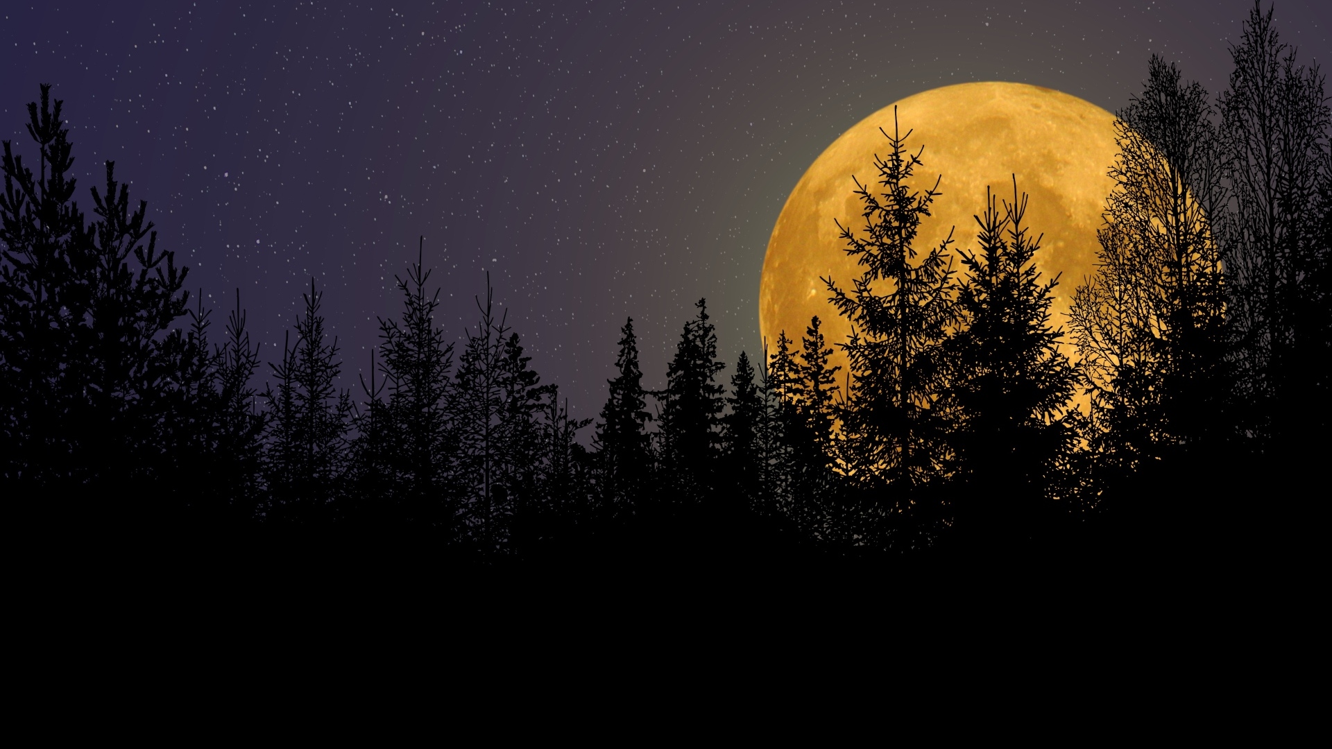 Большая желтая луна прячется за елями
