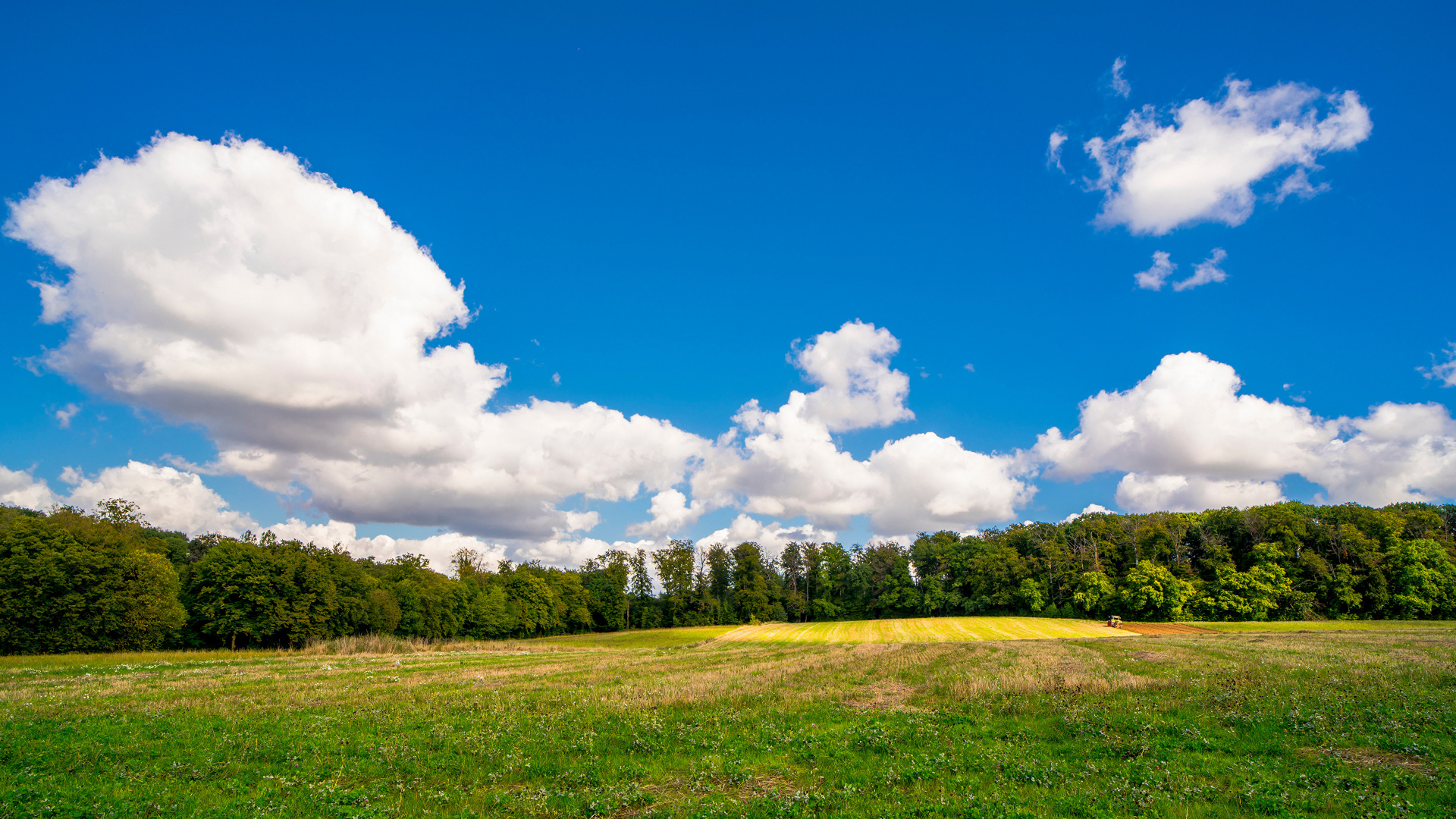 Белые густые облака над зеленым полем