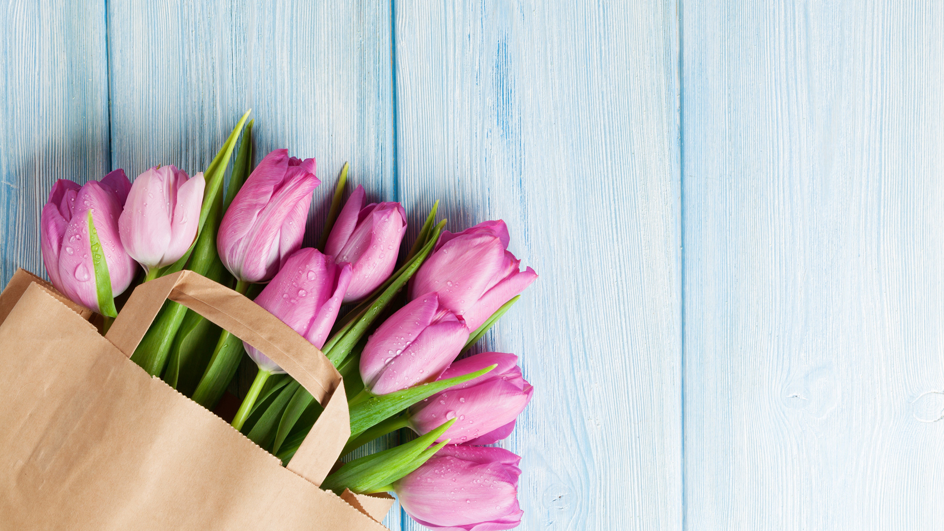 Пакет розовых тюльпанов на голубом столе