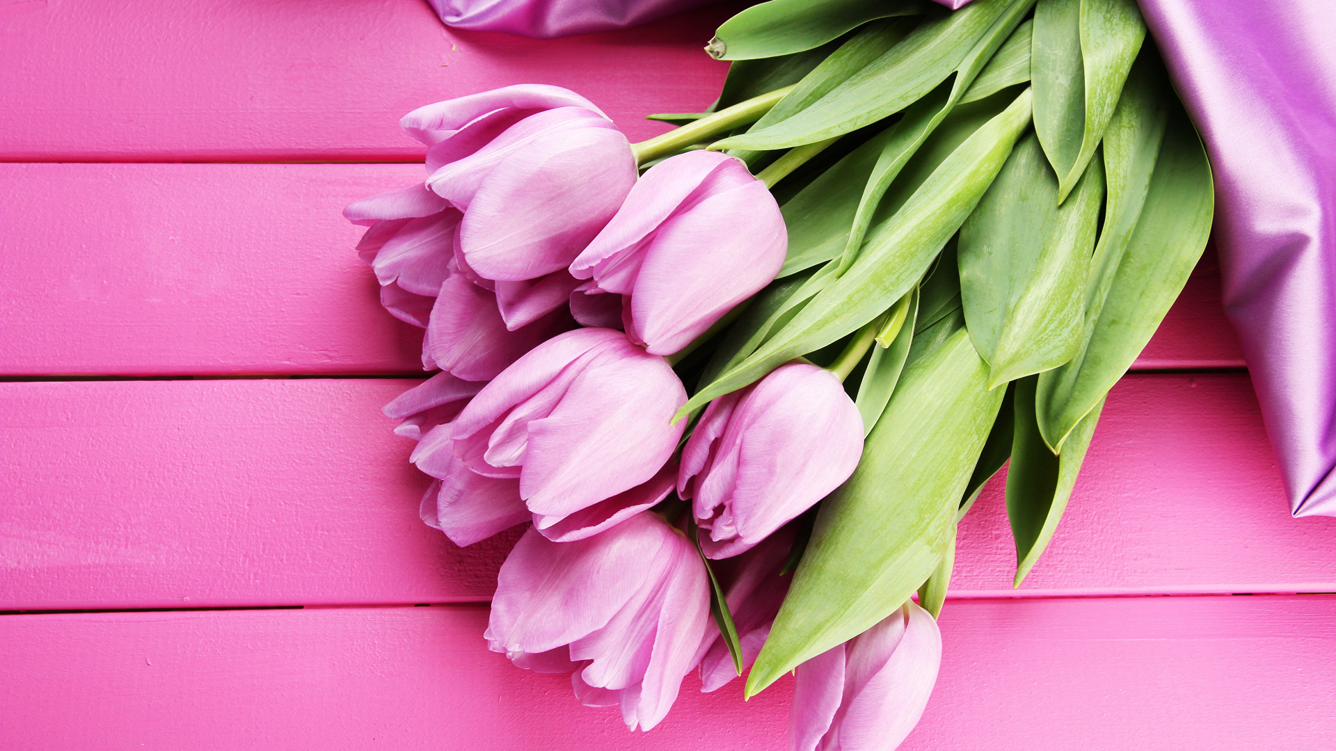 Красивый букет тюльпанов с лентой на розовом столе