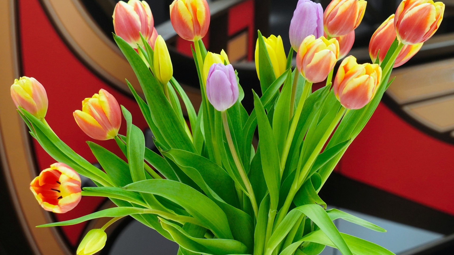 Букет красивых разноцветных тюльпанов в стеклянной вазе