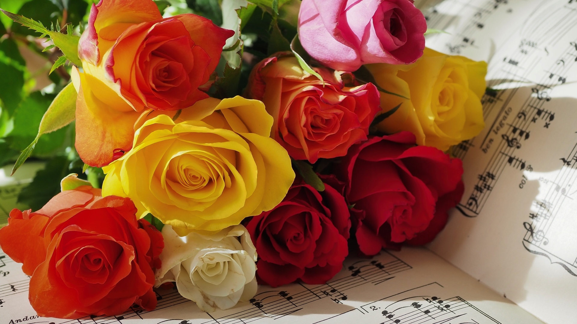 Букет разноцветных роз на нотной тетради