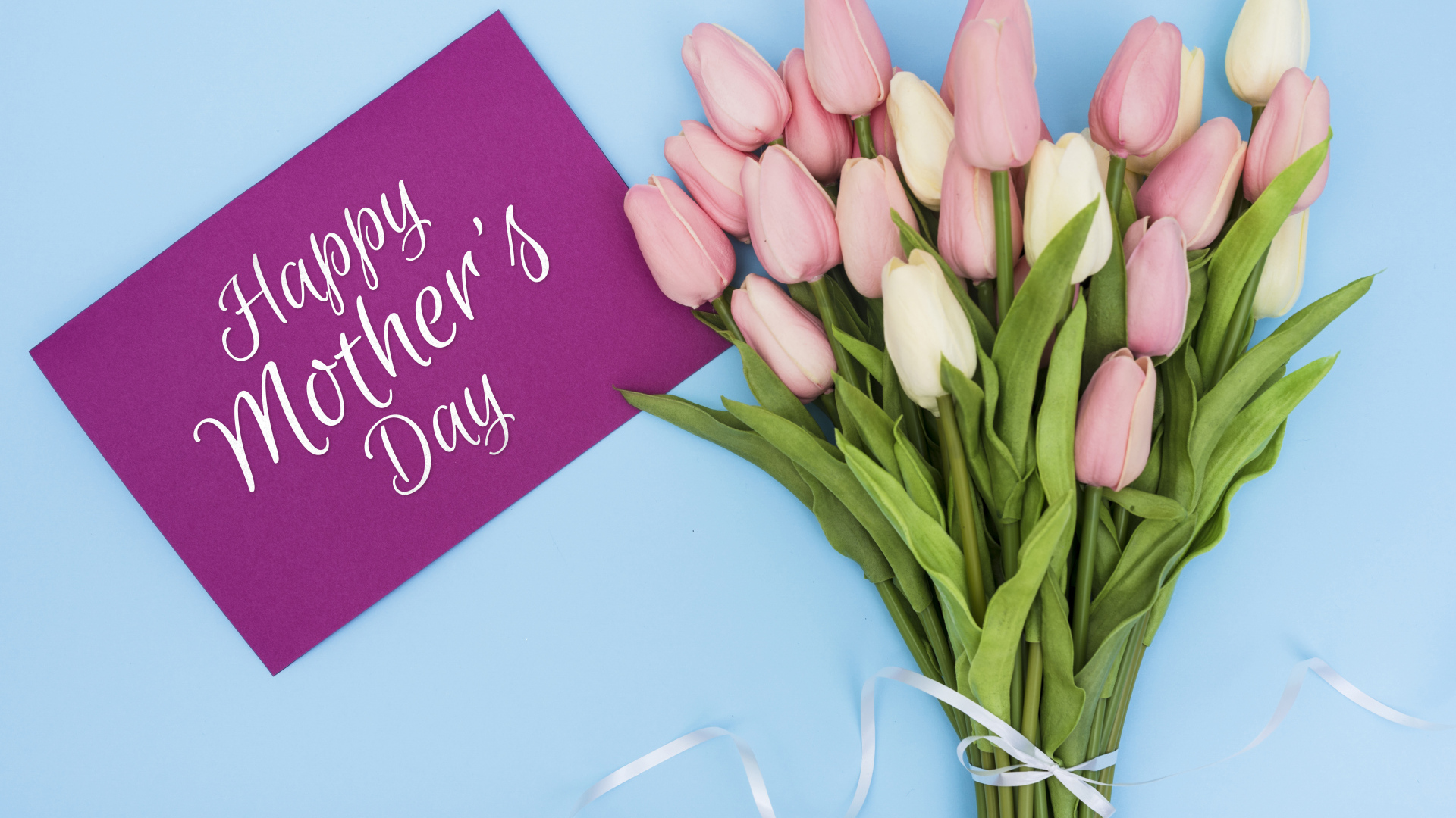 Букет розовых тюльпанов на голубом фоне на день матери 