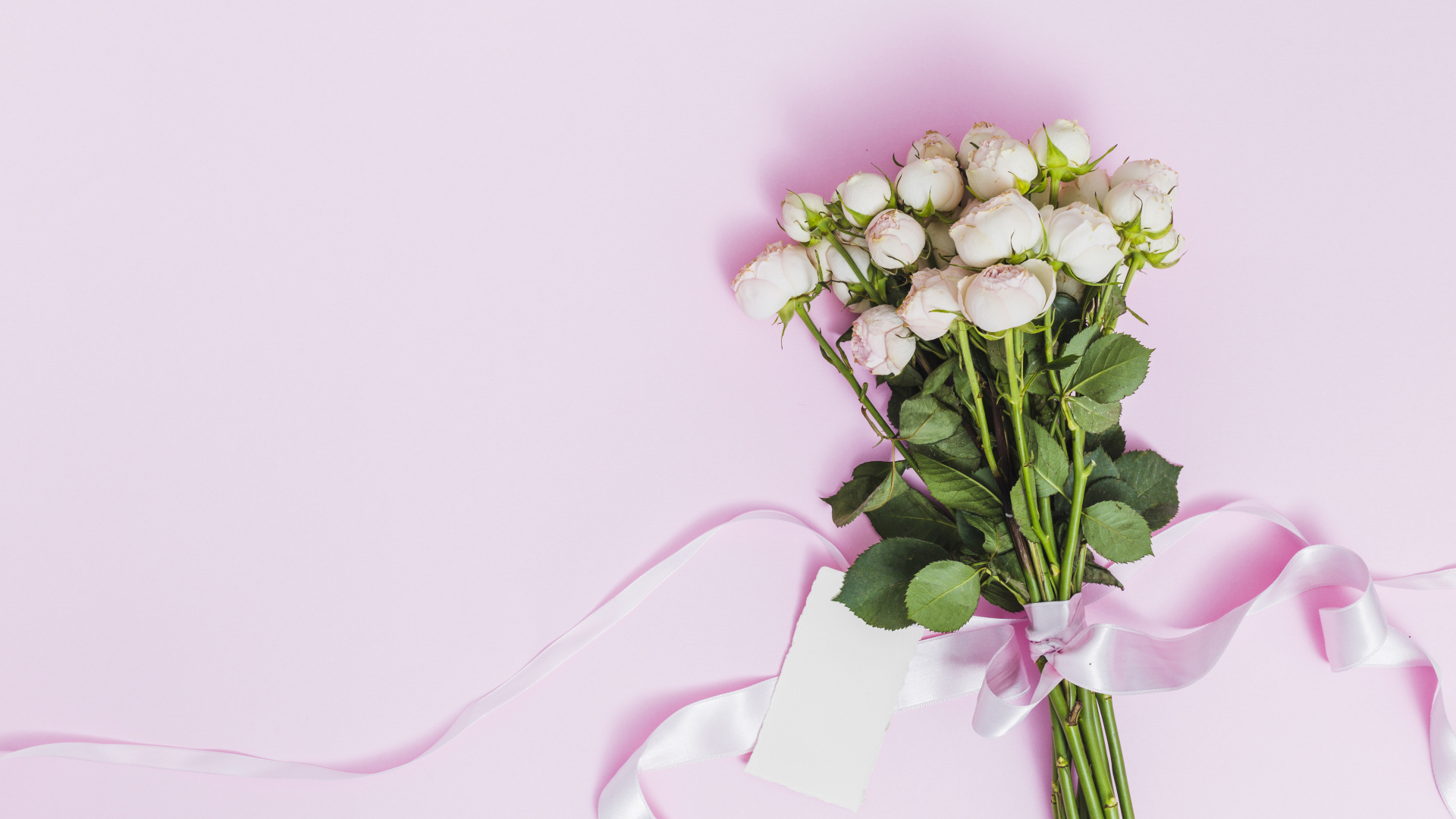 Букет роз с лентой на розовом фоне