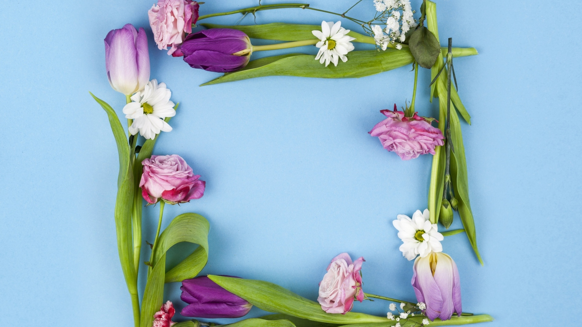 Рамка из разных цветов на голубом фоне