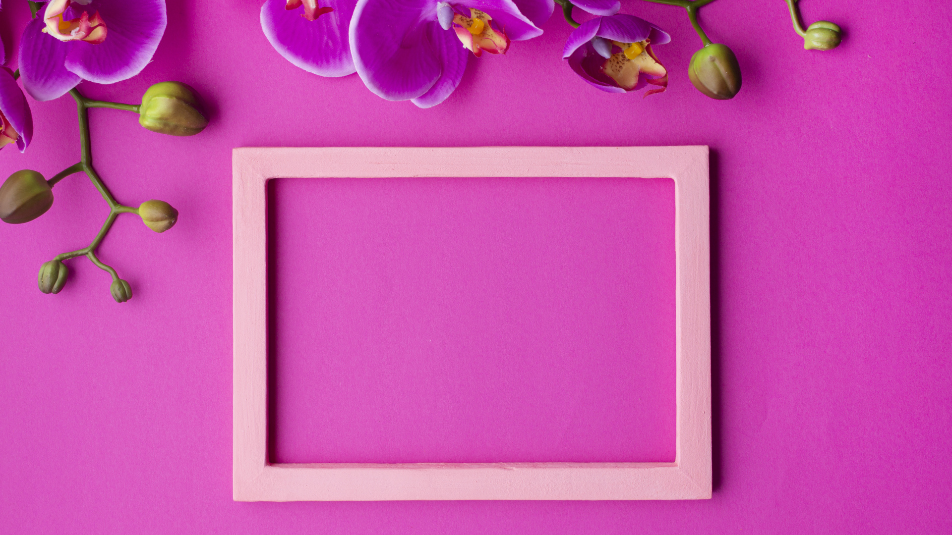 Рамка на розовом фоне с цветами орхидеи, шаблон для открытки