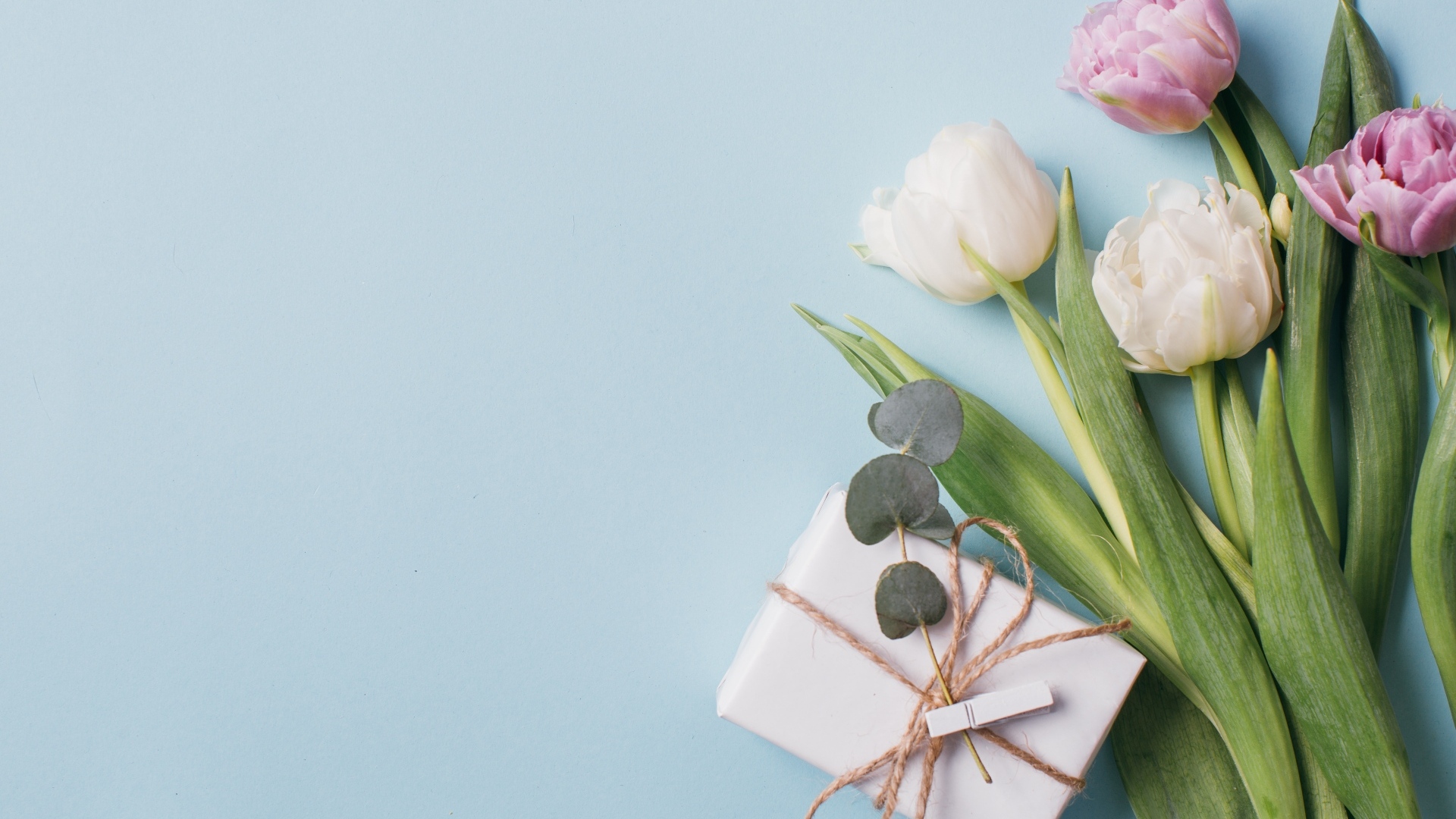 Подарок с тюльпанами на голубом фоне