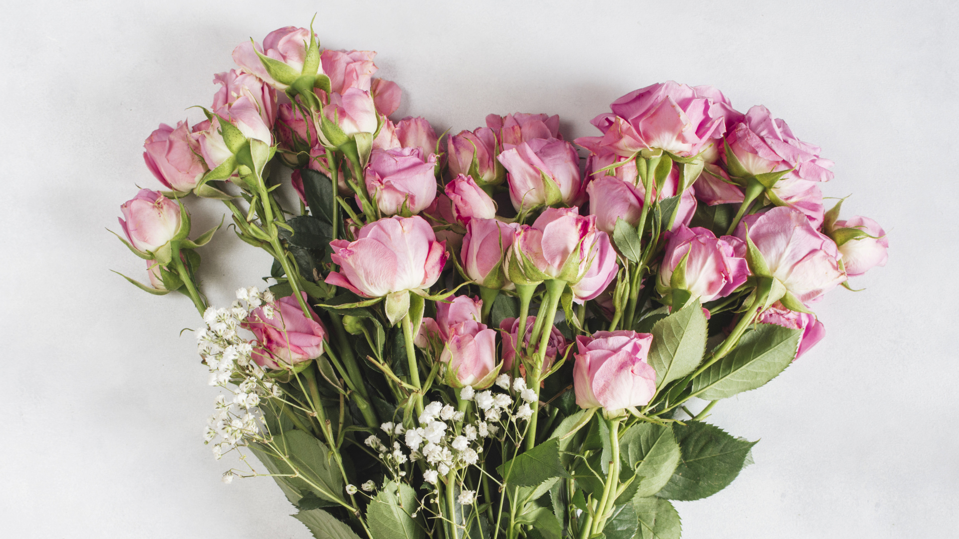 Большой букет розовых роз на сером фоне