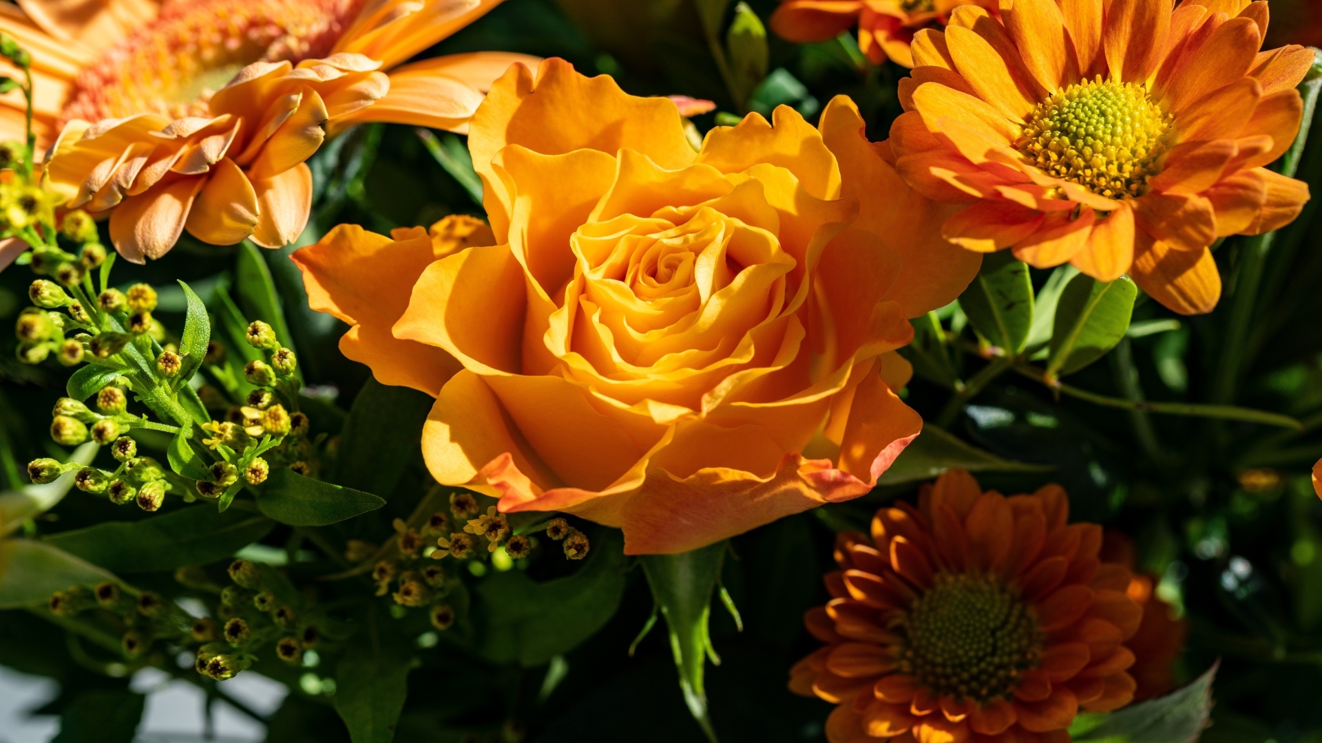 Оранжевые розы и хризантемы крупным планом