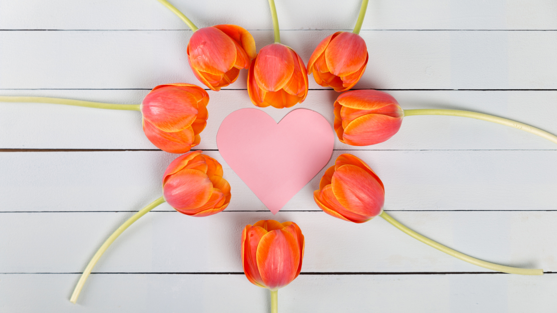 Оранжевые тюльпаны с розовым сердцем на сером столе