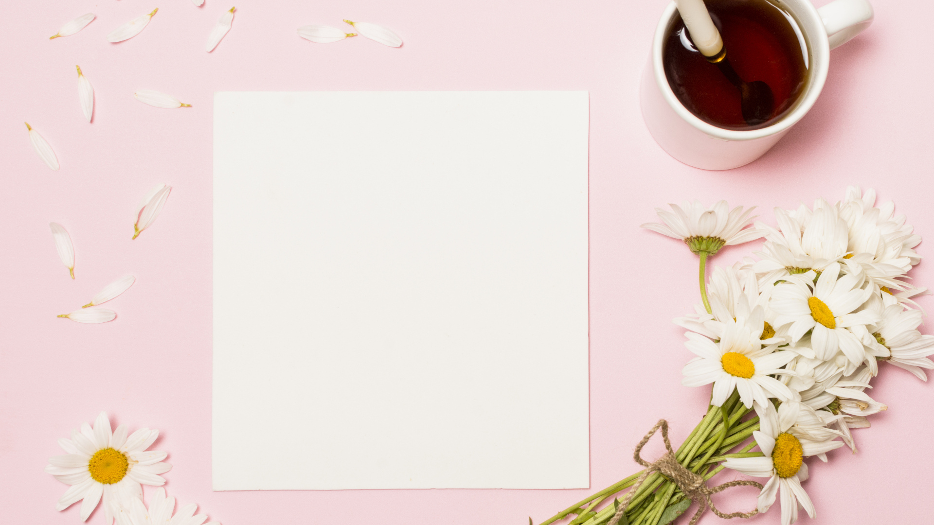 Розовый фон с ромашками, чашкой чая и белым листом бумаги, шаблон
