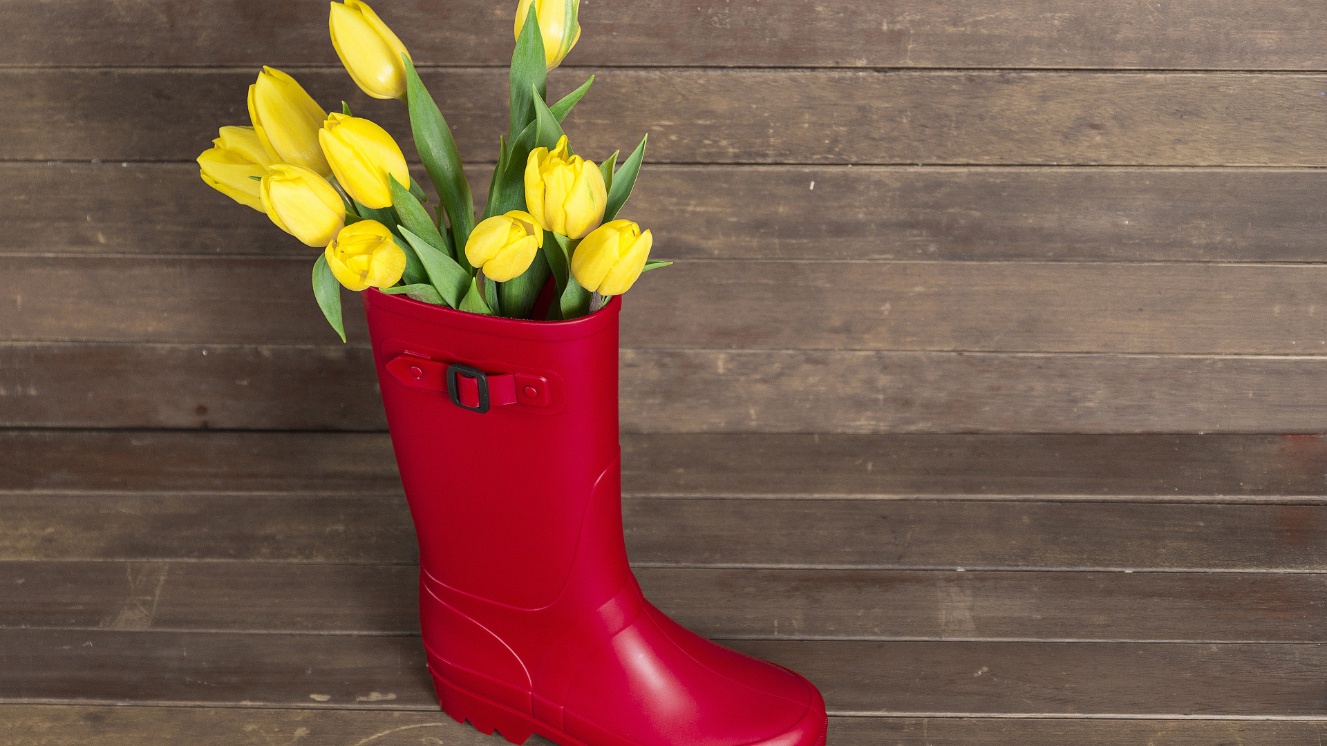 Красный сапог с желтыми тюльпанами на деревянном столе