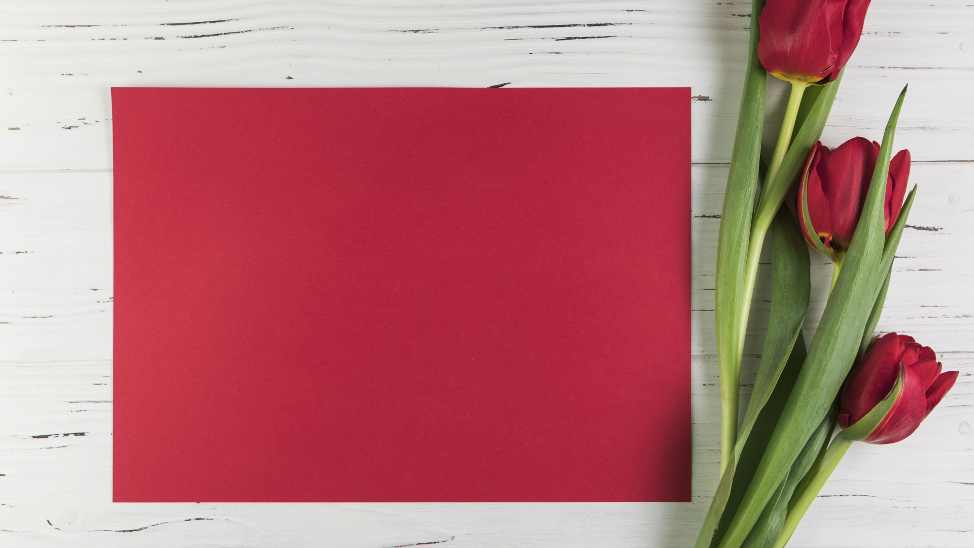 Красный лист бумаги с тюльпанами для шаблона поздравительной открытки