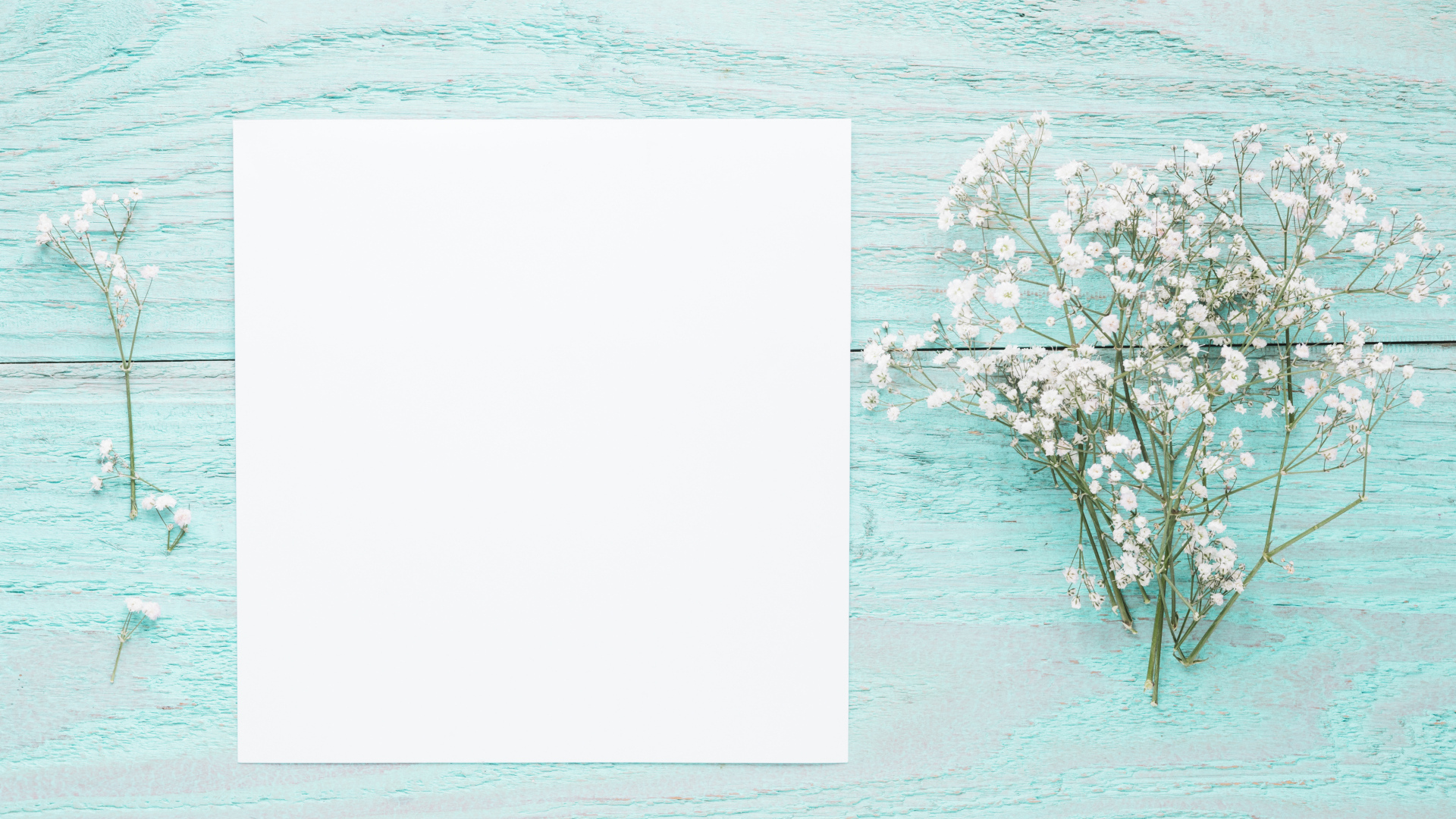 Лист бумаги с белыми цветами гипсофилы на голубом столе