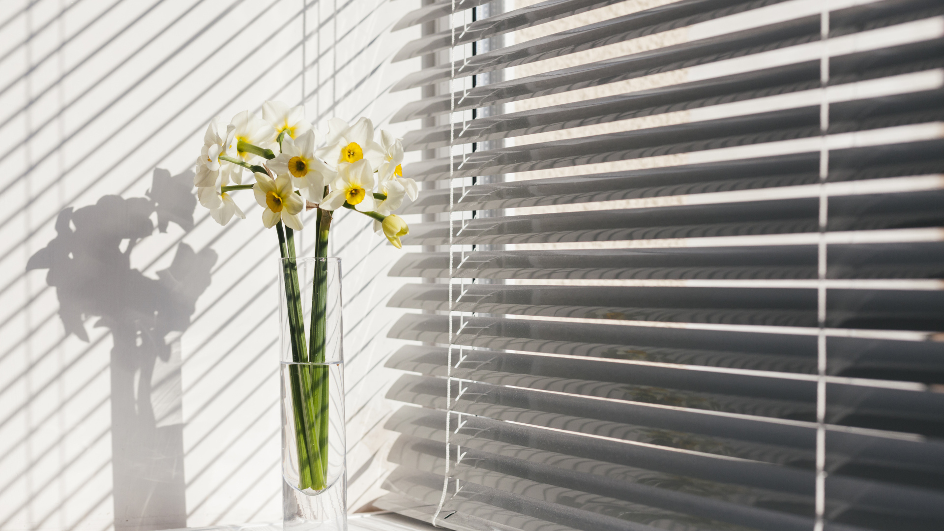 Белые нарциссы в вазе у окна