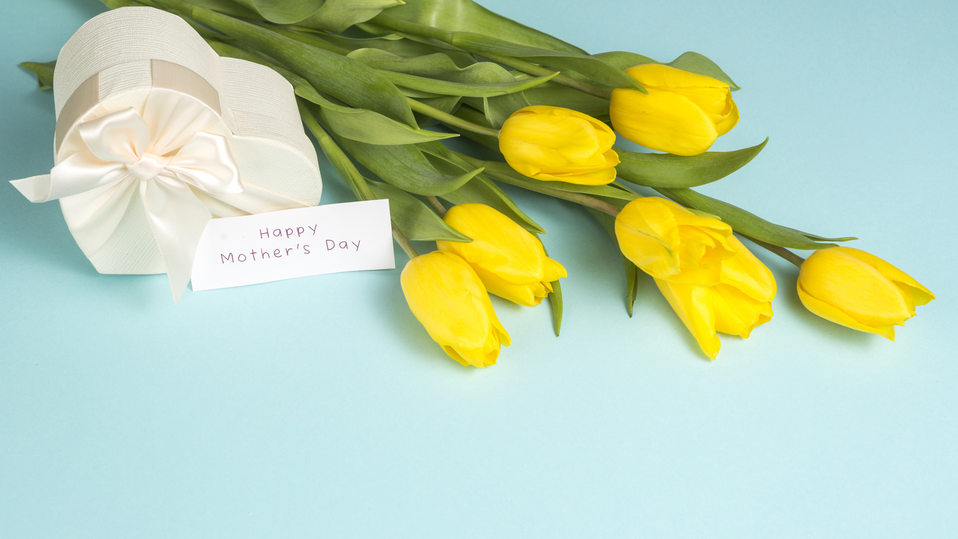 Желтые тюльпаны с подарком на голубом фоне на день матери