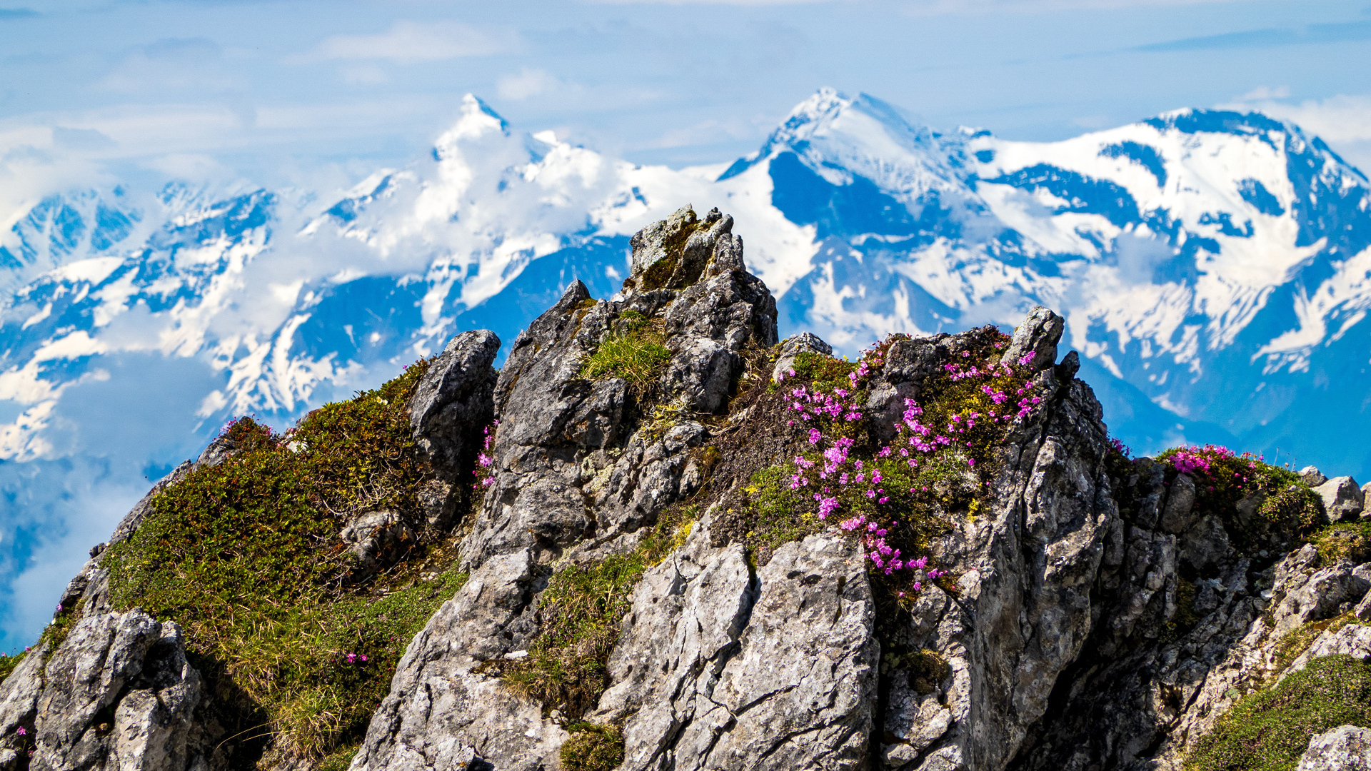 Красивый вид на высокие Австрийские Альпы