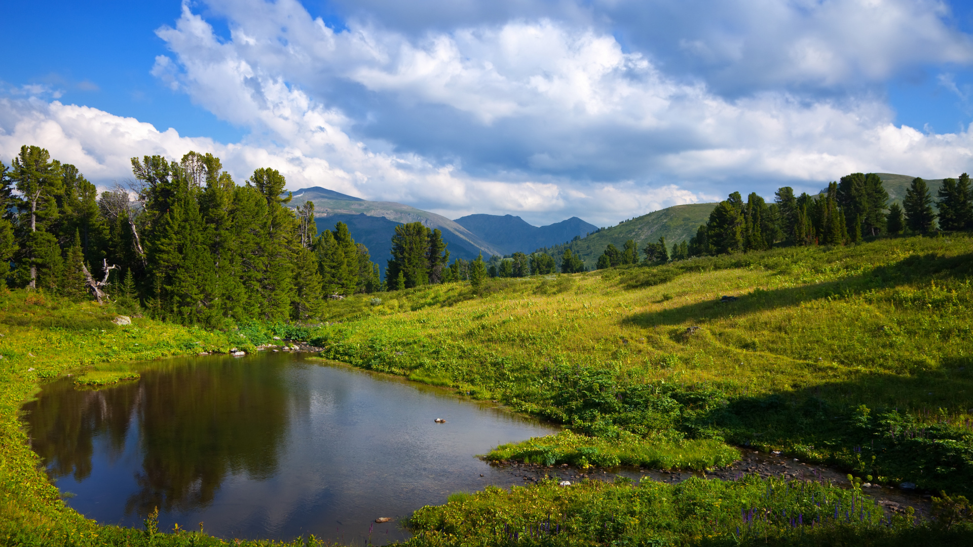 Живописная зеленая горная природа