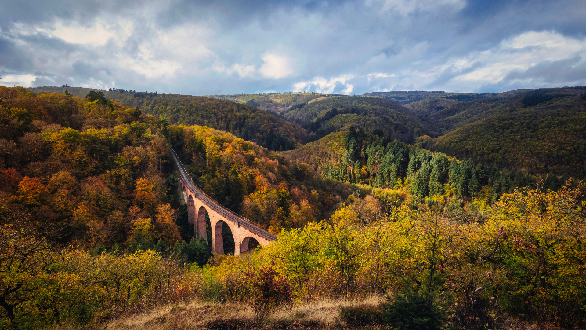 Старый мост виадук в зарослях деревьев
