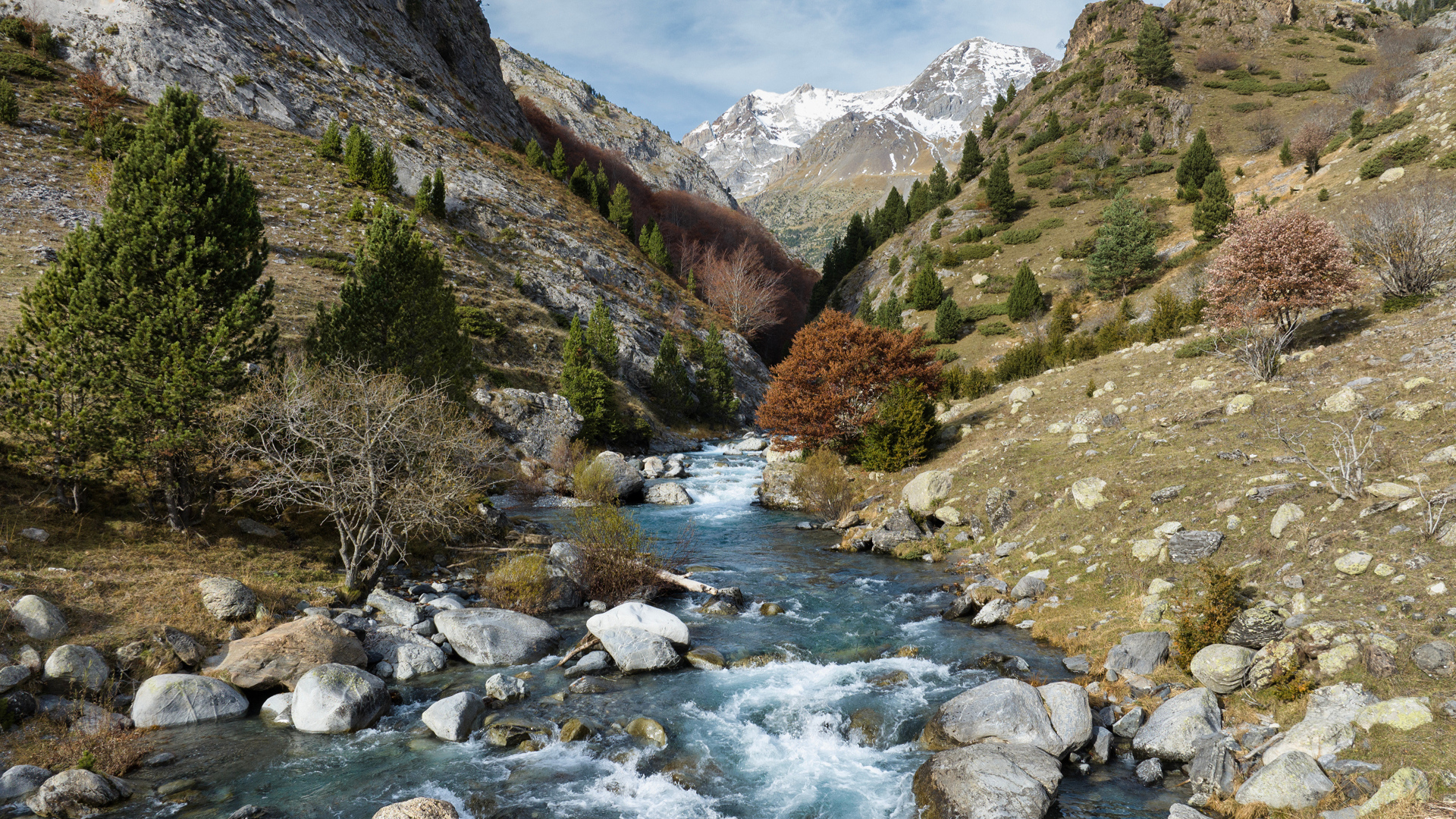 Быстрая река в горном ущелье 