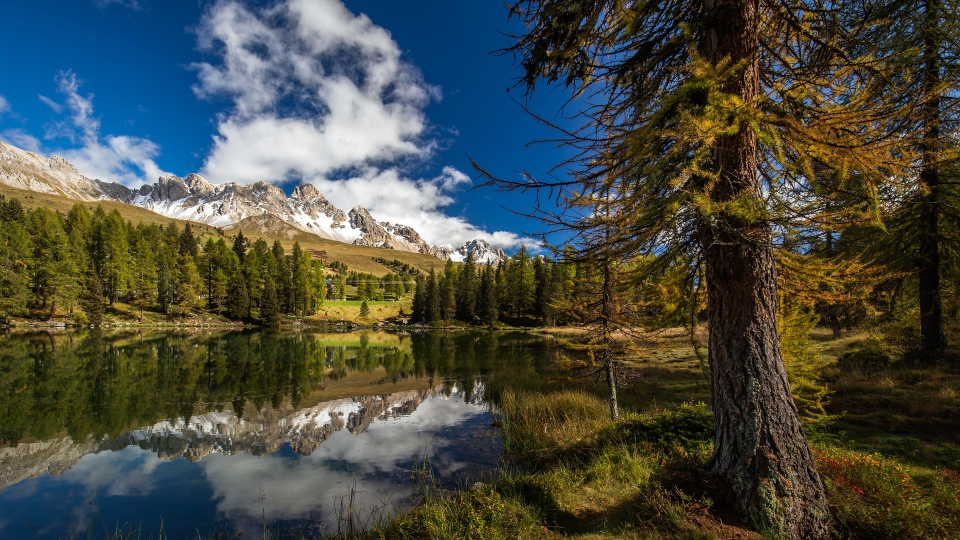 Озеро в горах с высокими елями под голубым небом