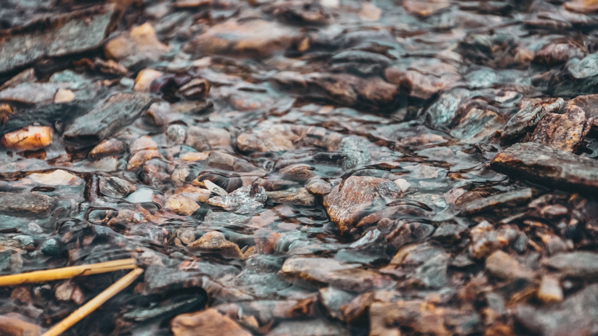 Мелкая река с камнями